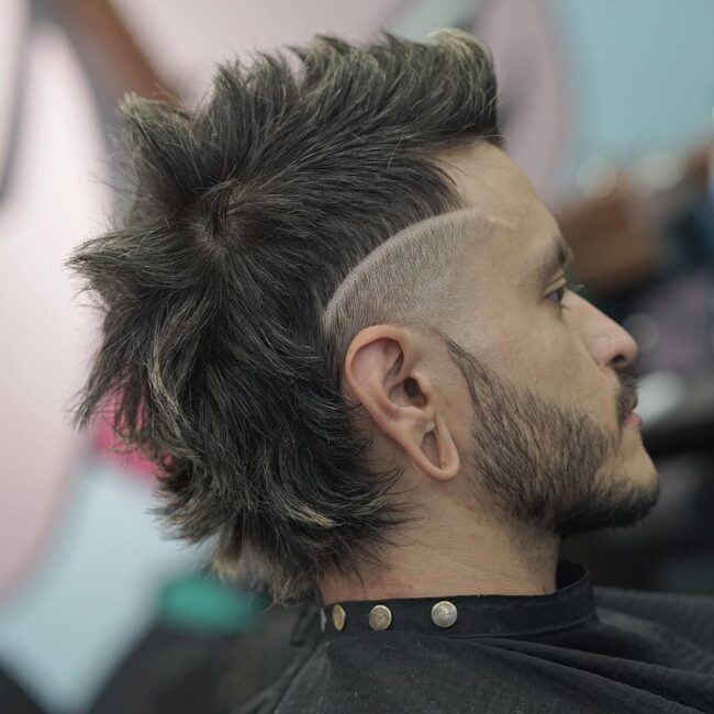 mullet 6